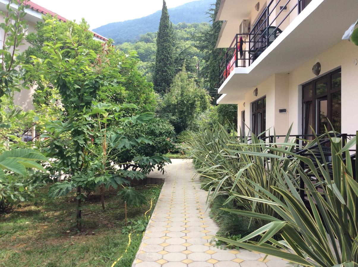 Guest House Dali Gagra Exterior photo