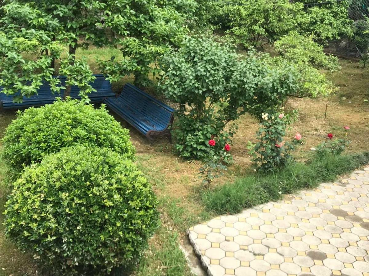 Guest House Dali Gagra Exterior photo